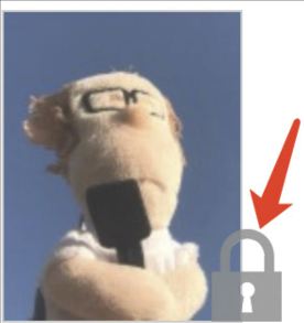 11.png