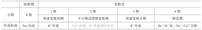 2021年臨床執(zhí)業(yè)醫(yī)師考試《生理學(xué)》復(fù)習(xí)知識點(9).png