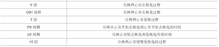 2021年臨床執(zhí)業(yè)醫(yī)師考試《生理學(xué)》復(fù)習(xí)知識點(9).png