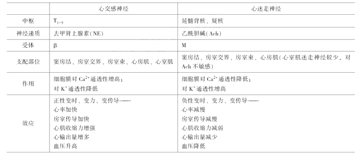 2021年臨床執(zhí)業(yè)醫(yī)師考試《生理學》復習知識點(11).png