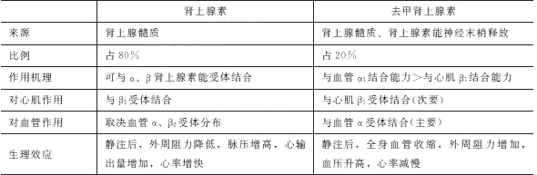 2021年臨床執(zhí)業(yè)醫(yī)師考試《生理學》復習知識點(11).png