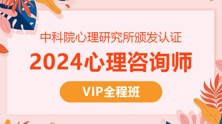 2024心理咨詢師技能培訓(xùn)VIP全程班